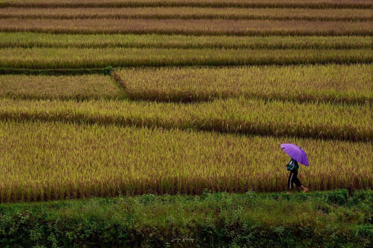 Dong Suoi H'Mong Homestay & Bungalow - Trek & Vegetarian Food Mu Cang Chai Exterior foto